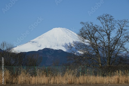 Various scenes of Mt. Fuji. Japan's famous mountain, Mt. Fuji, is a wonderful mountain that shows various expressions depending on the time of day and season.