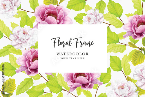 peonies watercolour floral background and frame illustration