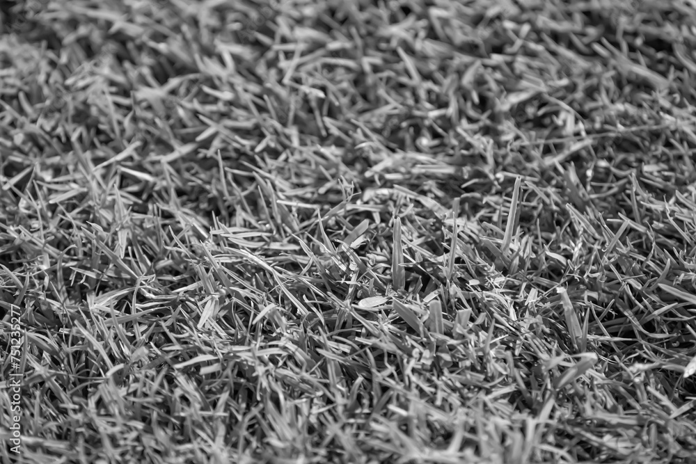 Close up soccer field lines. Background soccer pitch grass football stadium ground view. Stadium field ground grass detail. Close up soccer field lines. Background soccer pitch grass football stadium ground view. Stadium field ground grass detail.