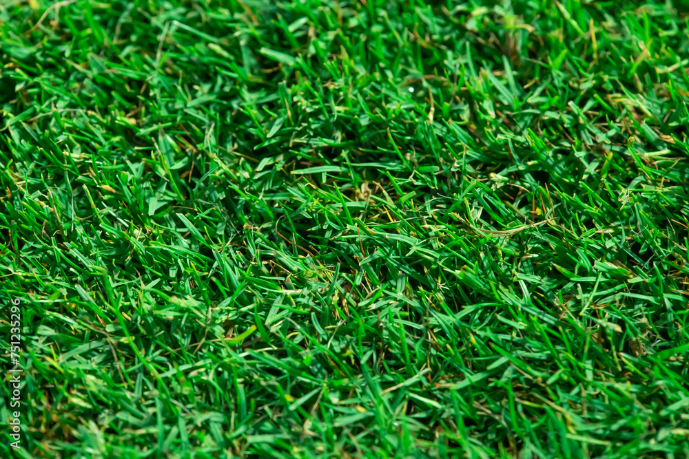 Close up soccer field lines. Background soccer pitch grass football stadium ground view. Stadium field ground grass detail. Close up soccer field lines. Background soccer pitch grass football stadium ground view. Stadium field ground grass detail.