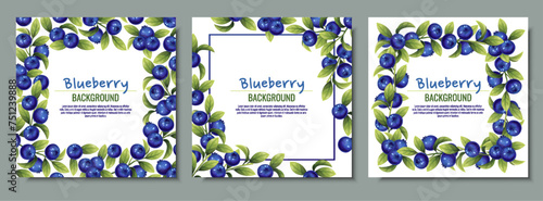 Set of cards with blueberries and green leaves. Frame, background with wild berries.
