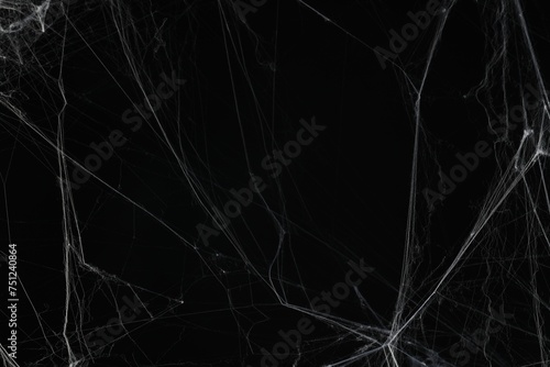 Creepy white spider web on black background © New Africa