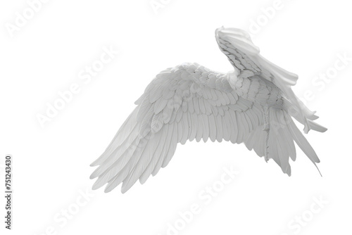 The Solitude of an Angel Wing Isolated On Transparent Background
