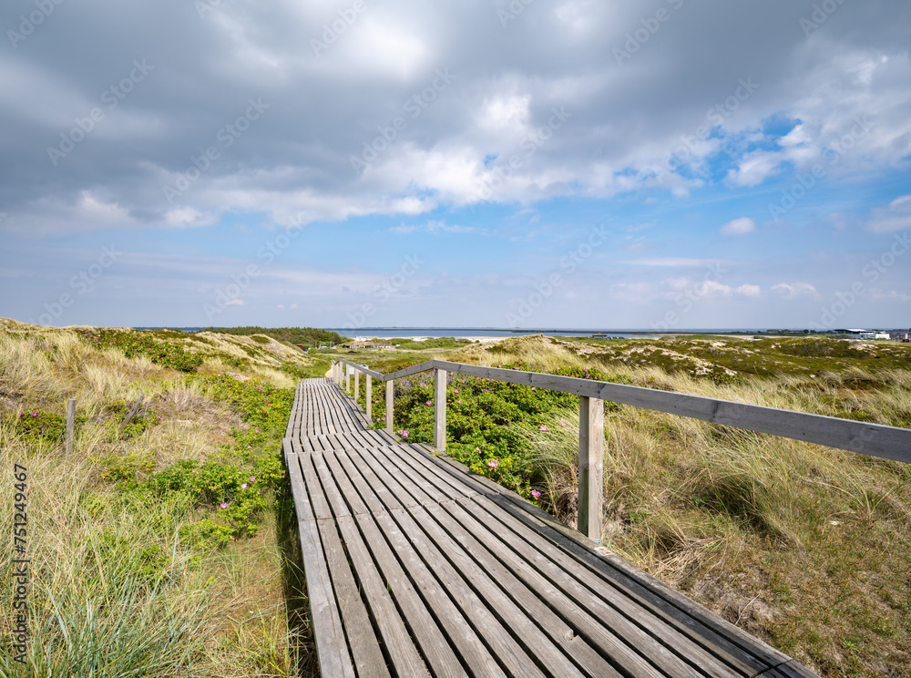 Wooden boardwalk along the dune landscape near Rantum, Sylt, Schleswig-Holstein, Germany