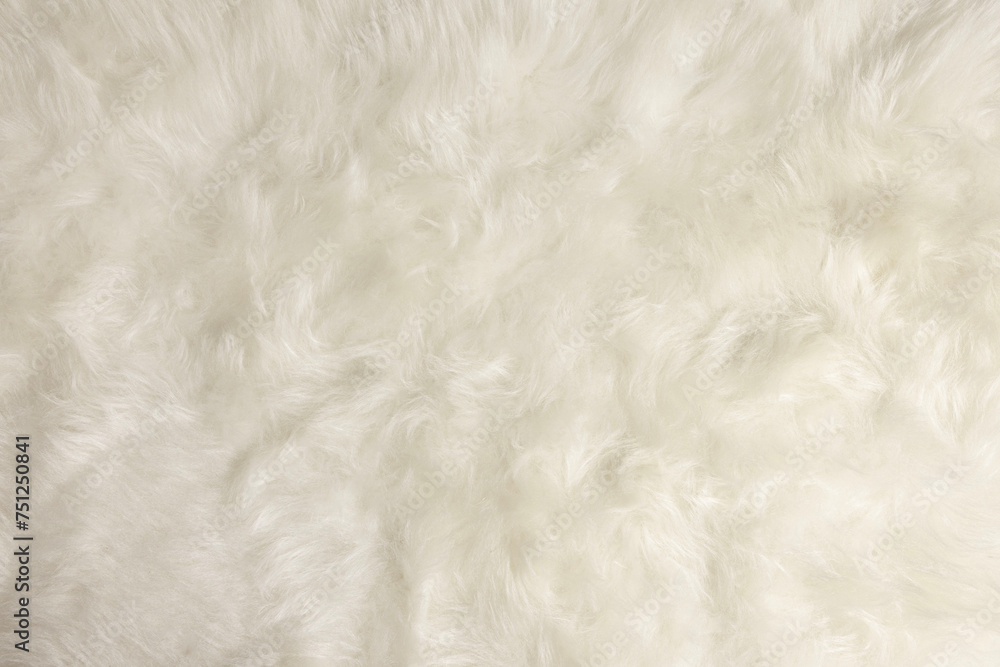 white plush carpet, long pile background white plush carpet, long pile background