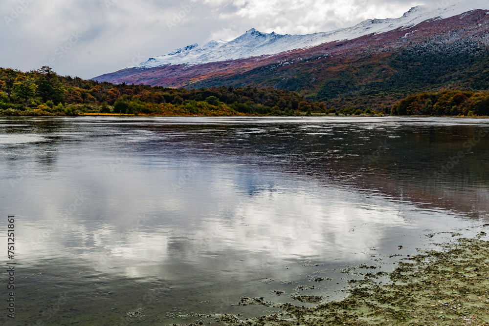 Tierra del Fuego National Park, Patagonia, Argentina