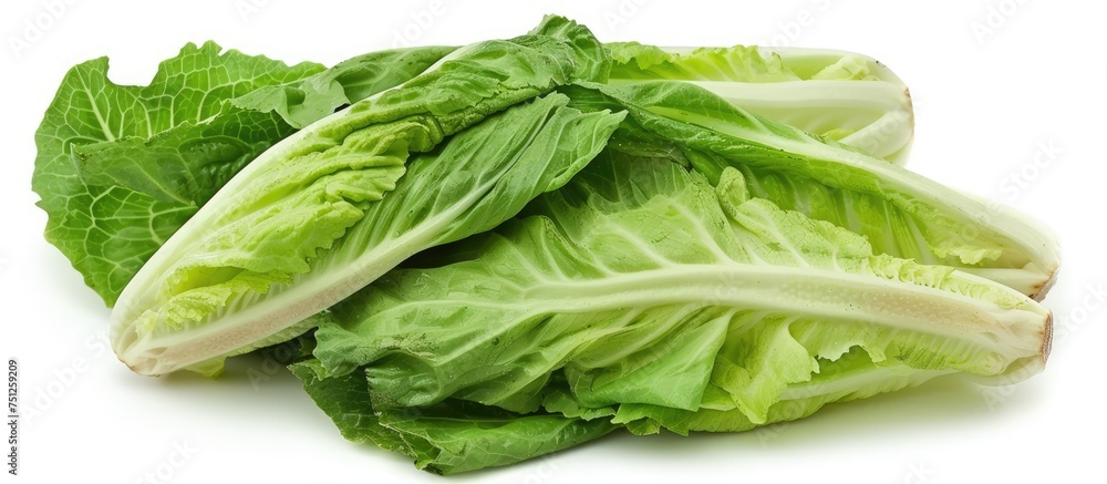 A mound of fresh and crisp organic romaine lettuce sits neatly piled on a plain white background. The vibrant green leaves are clean and ready to be used in a delicious salad or meal. A mound of fresh and crisp organic romaine lettuce sits neatly piled on a plain white background. The vibrant green leaves are clean and ready to be used in a delicious salad or meal.