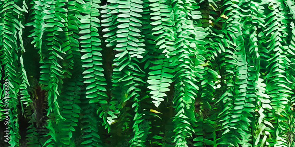 fern leaf background