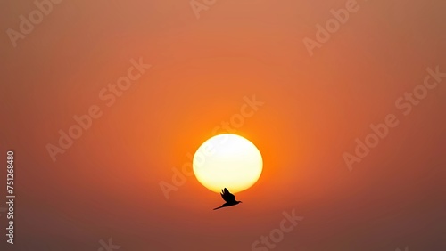 hot air balloon at sunset