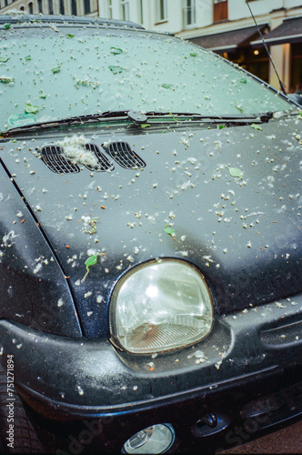 Linden tree pollen on the car 
