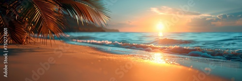 Summer Exotic Sandy Beach Blur Palms  HD  Background Wallpaper  Desktop Wallpaper