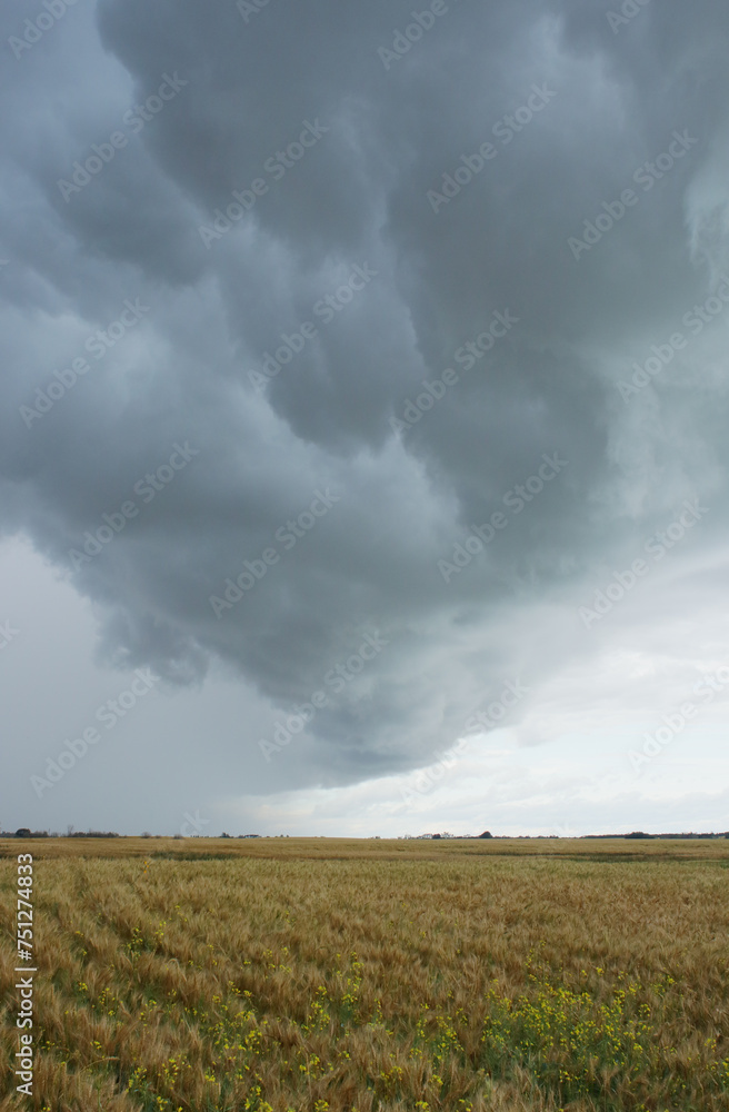 Severe weather storm system in Alberta, Canada. Severe weather storm system in Alberta, Canada.