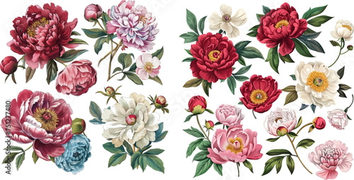 Set of vintage floral vector bouquet of peonies and garden flowers © Mark