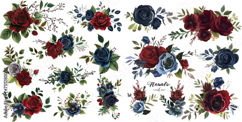 Set of floral branch. Flower red, burgundy, navy blue rose, green leaves