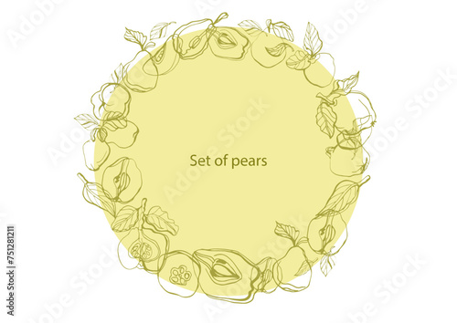 Isolated vector hand drawn set of green pears and quince on a white background. Circuit. Vitamins. Fruit.