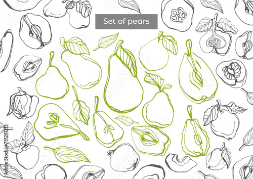 Isolated vector hand drawn set of green pears and quince on a white background. Circuit. Vitamins. Fruit.