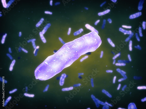 Fototapete Mycobacterium leprae or Mycobacterium lepromatosis, a gram-positive bacteria which is the cause of leprosy also known as Hansen's disease (HD)