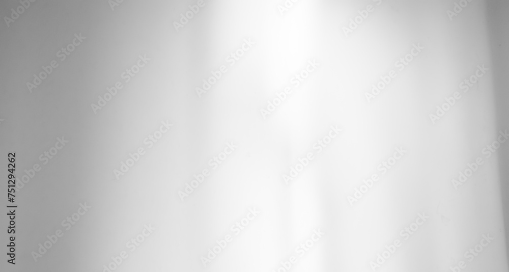 Shadow Background Abstract Leave Overlay Wall Floor Light Effect White Plant Sunlight Backdrop Mockup Minimal Spring Summer Nature Grey blur Photography Scene Template Poster Card Frame Product. Shadow Background Abstract Leave Overlay Wall Floor Light Effect White Plant Sunlight Backdrop Mockup Minimal Spring Summer Nature Grey blur Photography Scene Template Poster Card Frame Product.