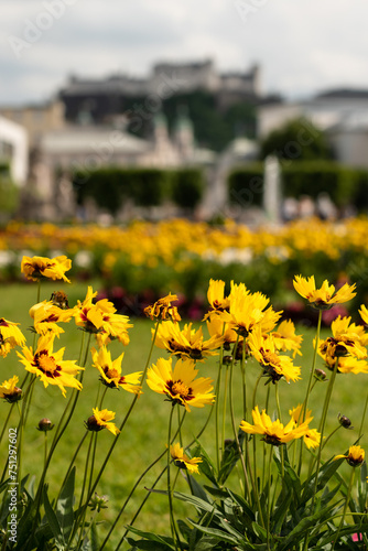 Blooming flowers in Mirabell Gardens in Salzburg in the early summer sunny day