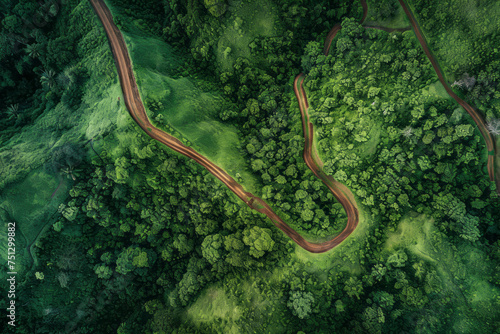 A winding road cuts through a dense, verdant forest