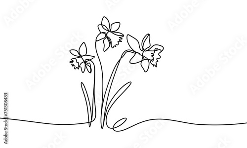 Vector illustration of a daffodil flower, in a linear style.