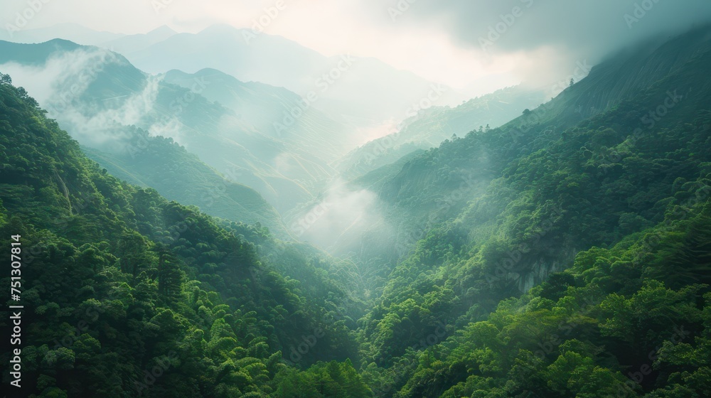 Misty mountains and forest landscape.
