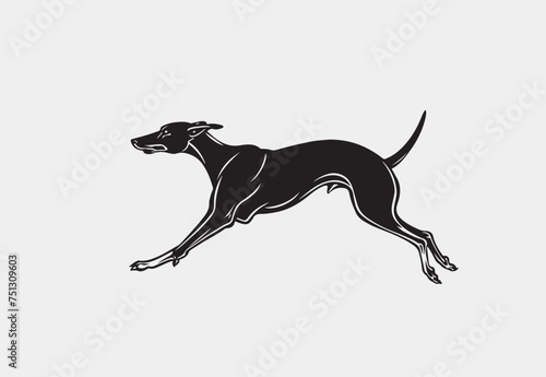 Silhouette of Greyhound  vector illustration on a white background 