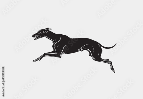 Silhouette of Greyhound  vector illustration on a white background 