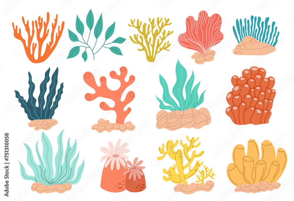 A large set of colorful modern seaweeds of different variations on a white background. Flat style, easy to edit A large set of colorful modern seaweeds of different variations on a white background. Flat style, easy to edit