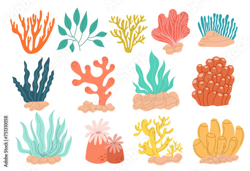 A large set of colorful modern seaweeds of different variations on a white background. Flat style, easy to edit