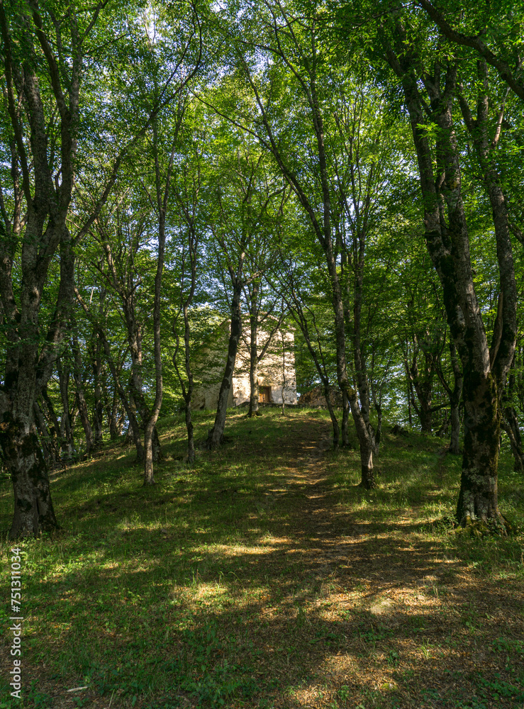 Church of Cheremi village is built of stone and stands in the forest surrounded by grass and trees. An earthen path leads to the entrance. Tree shadows and sun spots on the grass and church. Cheremi Church of Cheremi village is built of stone and stands in the forest surrounded by grass and trees. An earthen path leads to the entrance. Tree shadows and sun spots on the grass and church. Cheremi