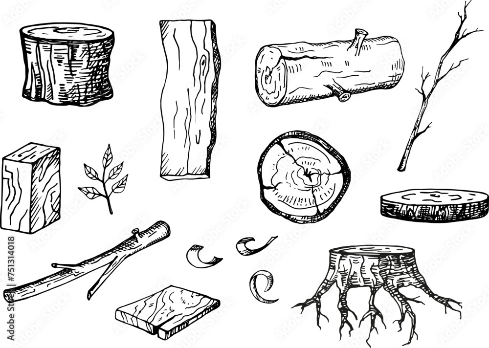 Wooden material for wood industry hand drawn ink sketch isolated vector ...