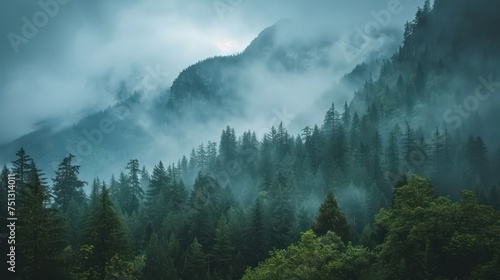 A landscape of mist-covered mountains and forests. 