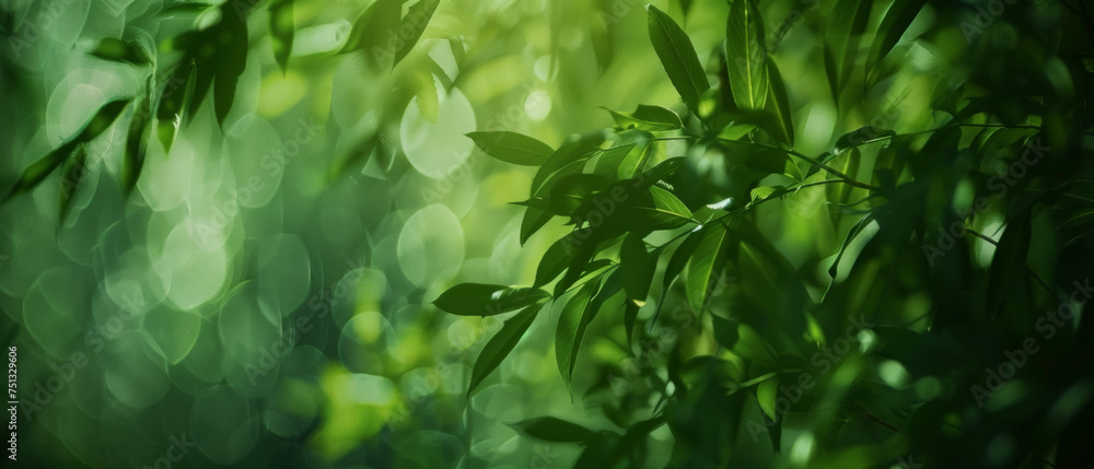 Sun-kissed leaves create a tranquil green sanctuary in soft-focused bokeh. Sun-kissed leaves create a tranquil green sanctuary in soft-focused bokeh.