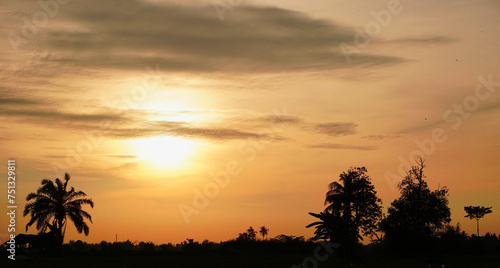 Sunset over quiet rural rice fields