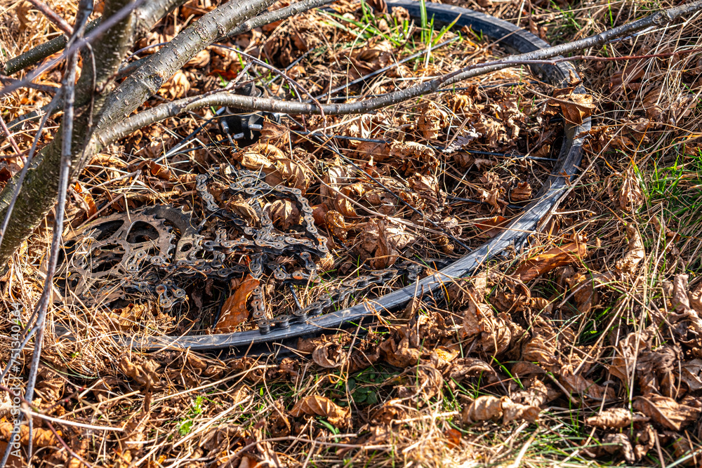 used bike parts, chain, wheel and sprockets thrown into the leaves