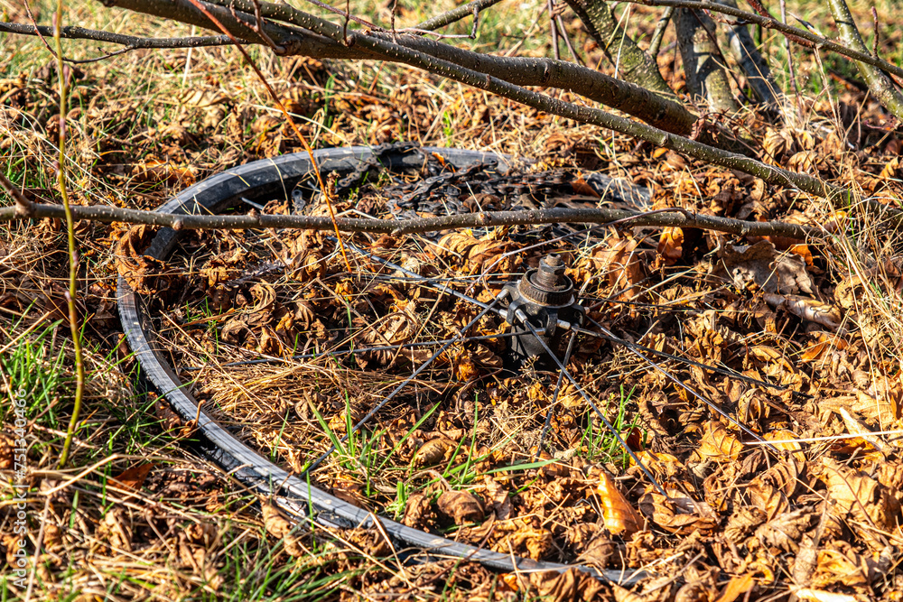 used bike parts, chain, wheel and sprockets thrown into the leaves