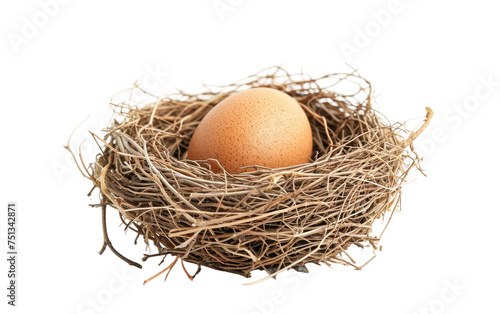 The Nesting of Birds in an Egg isolated on transparent Background