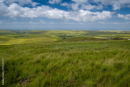 The Wild Coast, known also as the Transkei, is a 250 Kilometre long stretch of tropical beach rocky shores waterfalls and steamy jungle or coastal forests. The rugged and unspoiled Coastline that stre