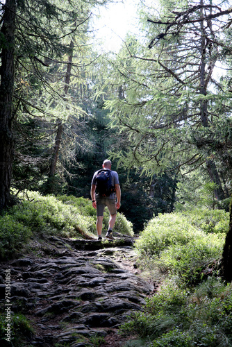 man hiking in the woods over an uneven path partly shaded