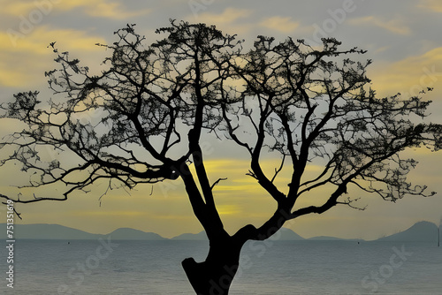 silhouette of a tree at sunset. , landscape, sky, silhouette, trees, sun, winter, sunrise, blue, branch, dead, sea, water, beach, summer, autumn,Ai generated 