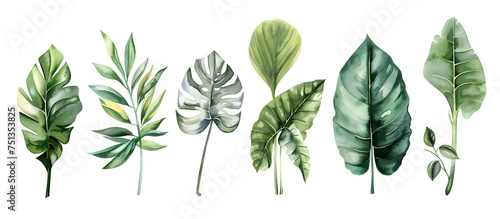 A watercolor vector illustration set featuring tropical leaves, exotic plants, palm leaves, and monstera isolated on a white background. photo