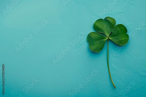 a four leaf clover on a blue surface