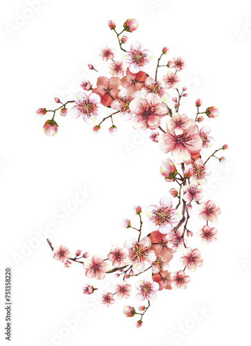 A blossoming branch from spring tree oval wreath, template Sakura, cherry, apple or apricot buds and flowers blossoms Springtime watercolor label card Hand drawn isolated illustration white background