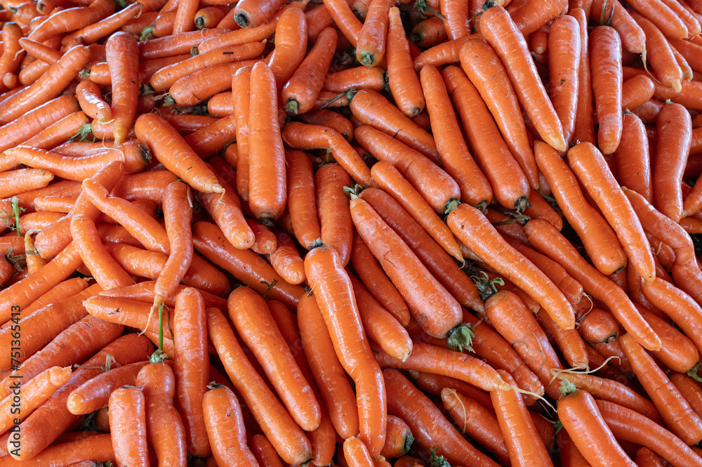 Carrots on display at the market stall. Carrots on display at the market stall.
