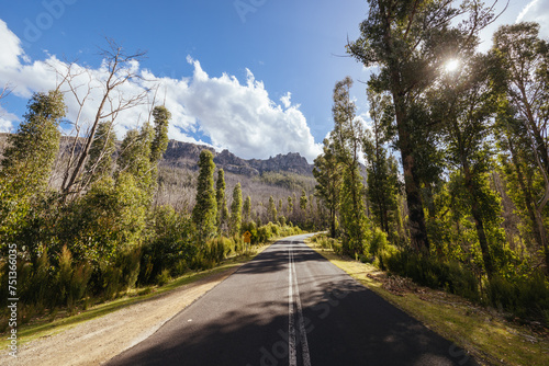 Gordon River Road Landscape in Tasmania Australia