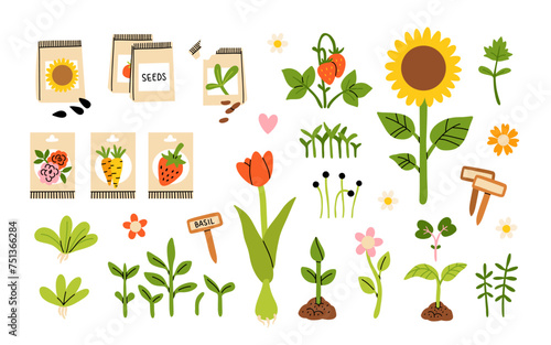 Seeds and seedlings. Germination of sprouts. Tools, pots and soil for planting. Spring sowing works. Set of hand drawn vector illustration isolated on white background.