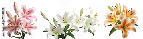 Panel kuchenny z motywem Set of elegant blooming lilies with buds, cut out