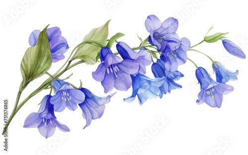 Sticker featuring a Bluebell Branch isolated on transparent Background