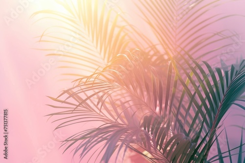 Tropical palm leaves in interior with light pastel gradient colors. minimal art concept